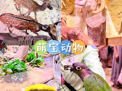 -正佳雨林生态植物园