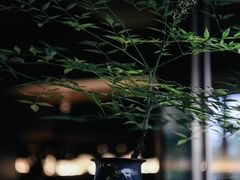 -木守西溪溪隐餐厅