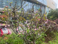 -白塘生态植物园