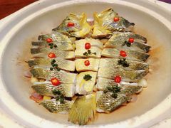 砂锅焗深海大黄鱼-红城阁·上海味道(四平路店)