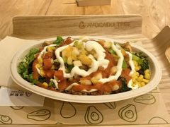 -油梨树AVOCADO TREE(嘉里中心店)