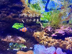 -常州海昌海洋探索馆