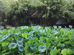 -塔子山公园