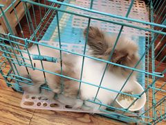大堂-志龙皇冠吃货椰子铺