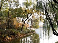 -杭州城北体育公园