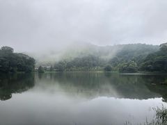 -广州市石门国家森林公园