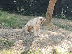-杭州野生动物世界