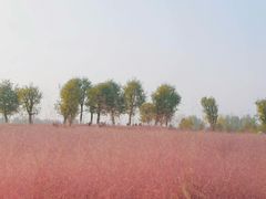 -汉长安城未央宫国家考古遗址公园