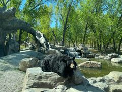 -北京野生动物园