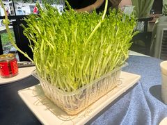 -蜀大侠·侠客印象(园林博物馆店)