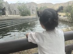 -新疆天山野生动物园