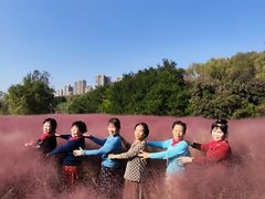 -灞河西岸滨河公园