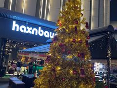 -haxnbauer海森堡德国餐厅(深圳coco店)