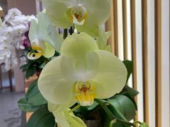 -广州神农草堂中医药博物馆