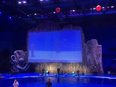 -华夏文旅海洋公园