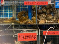 -77号渔船·蒸海鲜青岛菜(积米崖店)