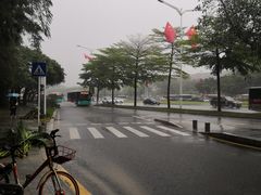 -深圳市人才园(深南大道店)