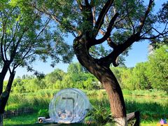 -Supine Bistro溯泮餐厅