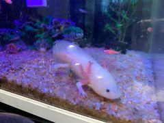 -粉家柳州螺蛳粉(杨宅路店)