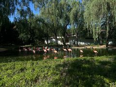 -石家庄市动物园