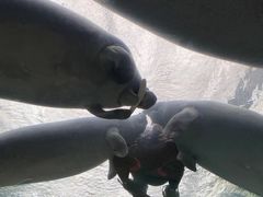-珠海长隆海洋王国