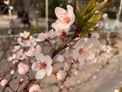-廊坊市自然公园