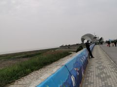 -南汇嘴观海公园