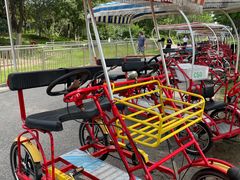 -永定河休闲森林公园