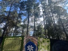 -寂照庵