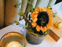 -蝶舍·MAISON PAPILLON