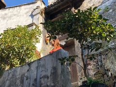 -洪江古商城