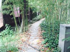 -金龟岛渔村