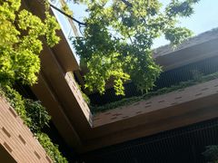-大神太神·铁板烧(瑞虹天地月亮湾店)