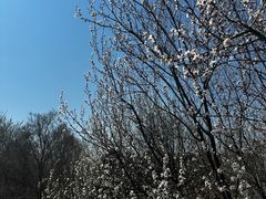 -莫子山公园