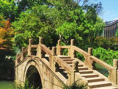 -上海醉白池公园