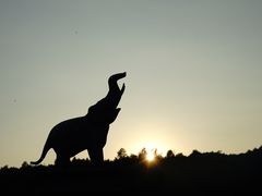 景点-清迈夜间动物园