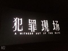 -AMG海上明珠影城(上海环球港RealDCinema店)
