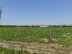 -嘉北郊野公园