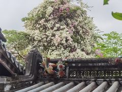 -深圳国际园林花卉博览园