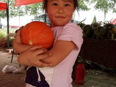 -庞各庄西瓜蔬菜采摘园·锦华瓜园