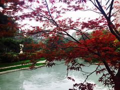 -钓鱼台国宾馆