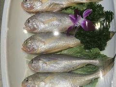 -新阿布海鲜大酒店
