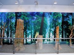 -延庆地质公园博物馆