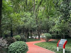 -唐城墙遗址公园