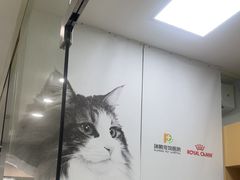 -瑞鹏宠物医院·微创内窥镜·骨外科·牙科(翠竹分院)