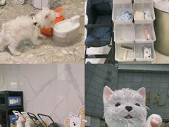 -开元商城(西旺店)