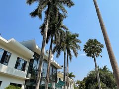 -中国科学院西双版纳热带植物园
