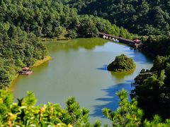 -广州白江湖森林公园