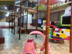 -卡通尼·Safari非洲探索乐园·生日会(金桥国际商业广场店)