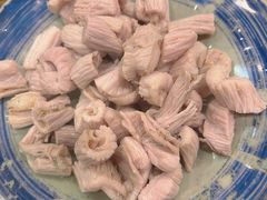 羊肚仁-金生隆(六铺炕店)